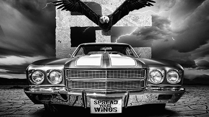 Spread Your Wings, carros, eagle, black-and-white, monochrome, artist, artwork, digital-art, HD wallpaper