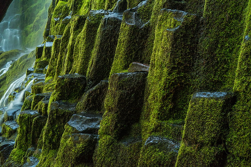 Earth, Moss, Columnar Basalt, HD wallpaper