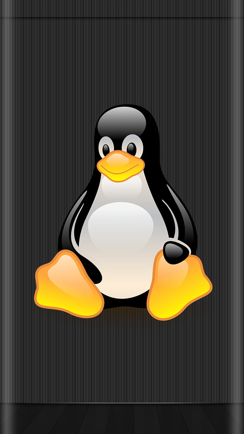 CUTE PENGUIN, penguin, cute, cartoon, HD phone wallpaper | Peakpx