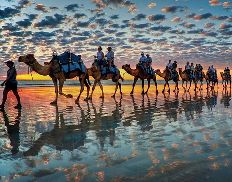 camel safari, bedouin, clouds, sky, coast, camel, HD wallpaper