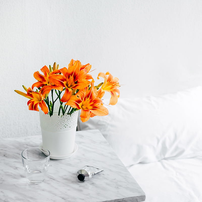 orange petaled flower bouquet on vase, HD phone wallpaper