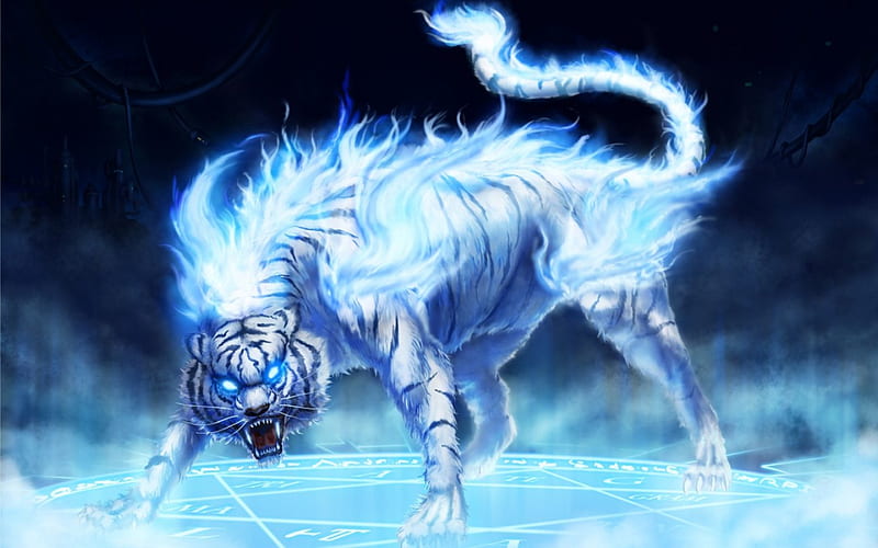 Angry Beast, fire, fantasy, tiger, blue, HD wallpaper