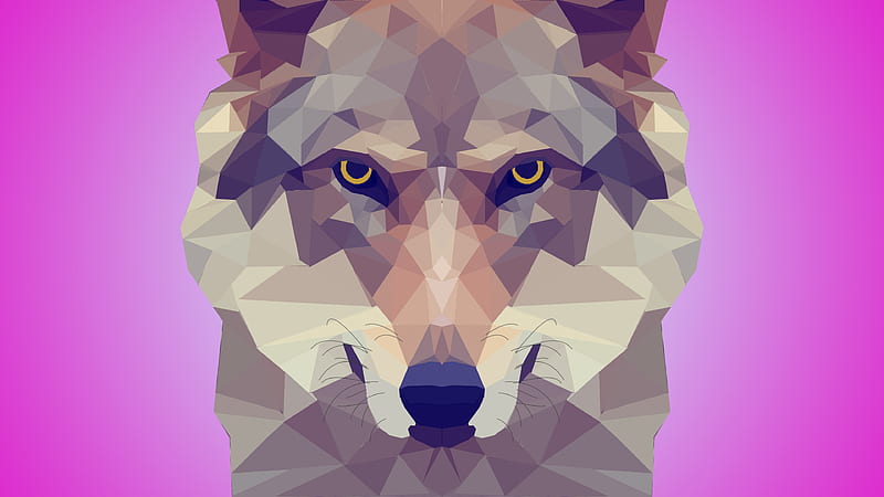 Animal, Wolf, Facets, HD wallpaper