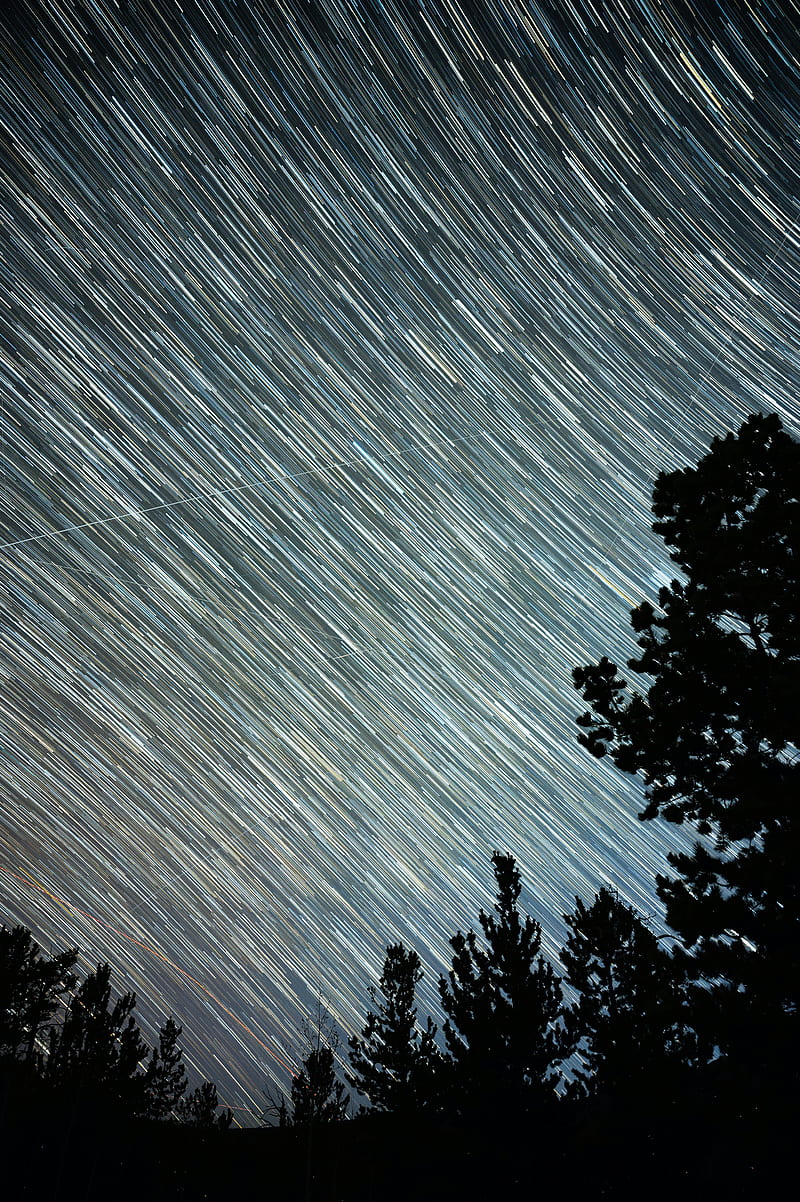 starry sky, starfall, stripes, trees, silhouette, HD phone wallpaper