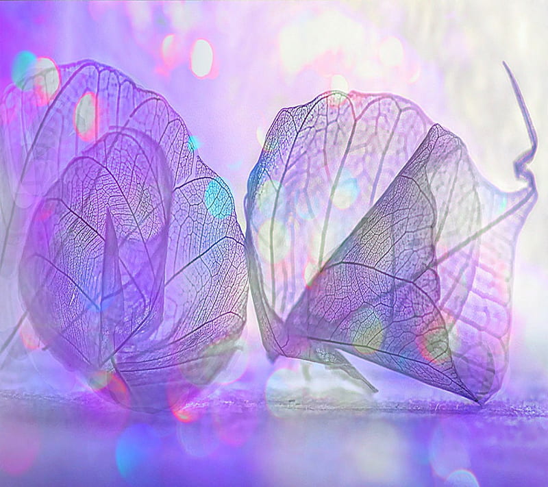 Soft Skeleton Leaf, skeleton, glow, gliter, bonito, soft, sparkles, cute, purple, beauty, nature, white, HD wallpaper