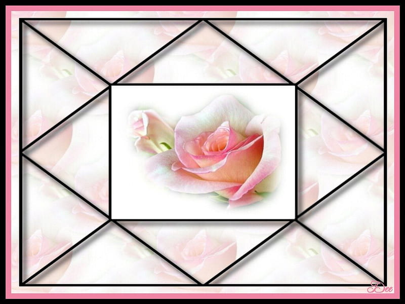 Pink Rose Pane 1, art, romance, rose, window pane, artwork, floral, love, painting, flower, beauty, HD wallpaper
