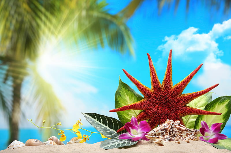 Summer time, holidays, ocean, palms, sea, beaches, vacantion, summer, flowers, sunshine, HD wallpaper
