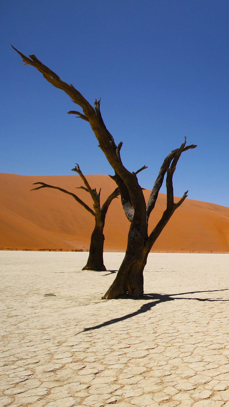 Namib Coastal Desert, desert, HD phone wallpaper