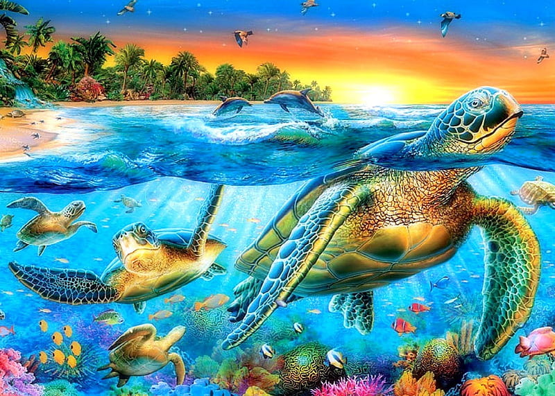 ★Sea Turtles in Paradise★, sea life, oceans, scenic, panoramic view, seasons, dolphins, scenery, animals, turtles, underwater, flying birds, fishes, creative pre-made, paradise, beaches, summer, island, nature, HD wallpaper