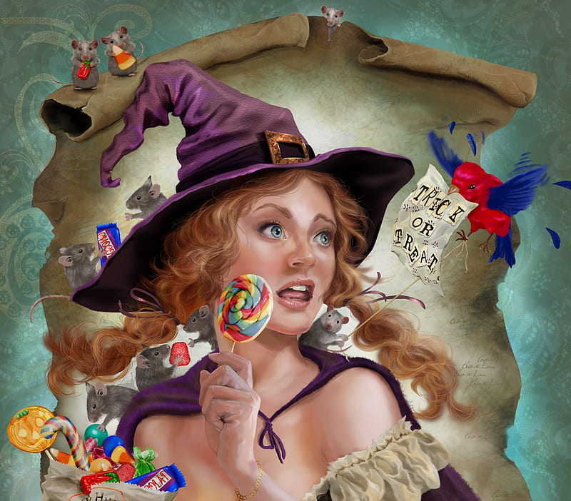 Jolly Halloween, witch, candy, bird, trick or treat, girl, mice, sign, HD wallpaper