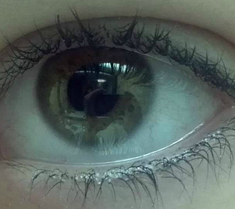 Green-eyed Lady, eye, girl, green, intense, iris, magic, pupil, reflection, HD wallpaper