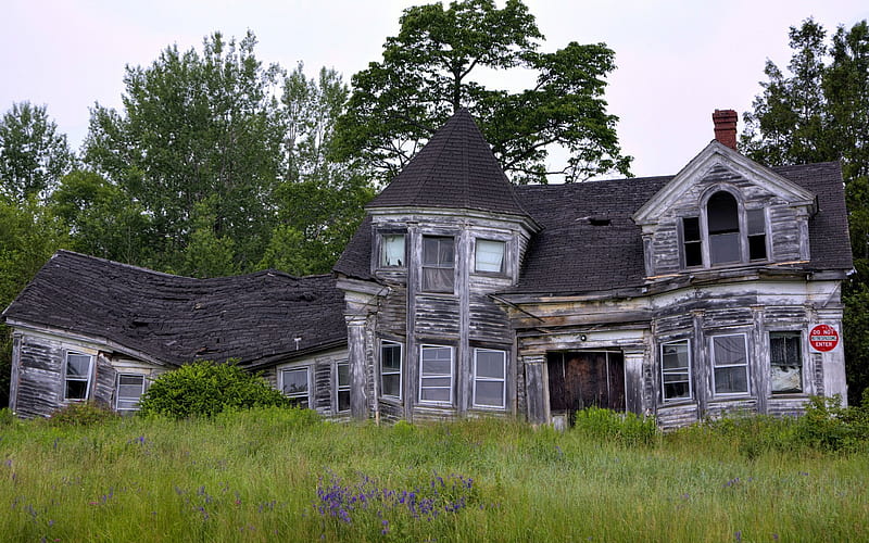 Abandoned House, Trees, House, Abandoned, Grass, HD wallpaper