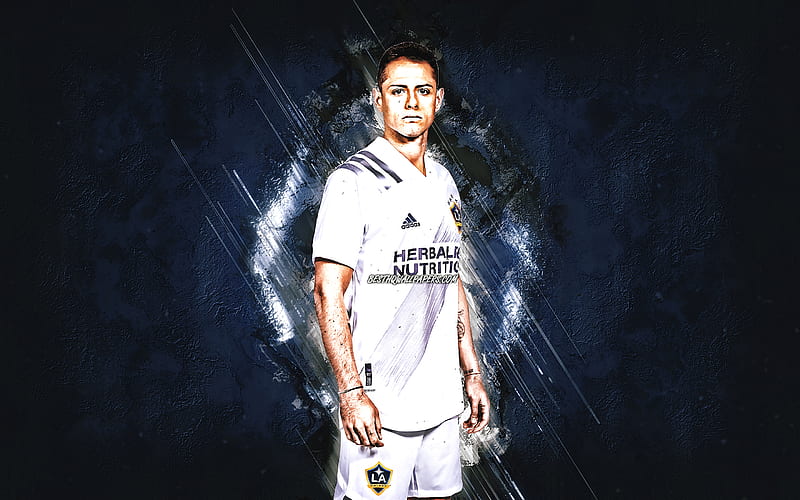 Javier Hernandez, Chicharito, Los Angeles Galaxy, MLS, portrait, mexican soccer player, blue stone background, football, USA, HD wallpaper