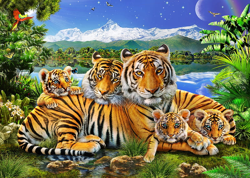 Tiger family, family, luminos, adrian chesterman, cub, tiger, tigru, animal, HD wallpaper