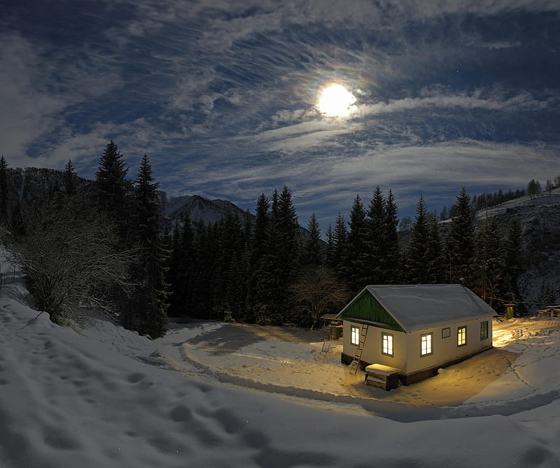 Winter, forest, house, light, moonlight, night, snow, village, HD wallpaper