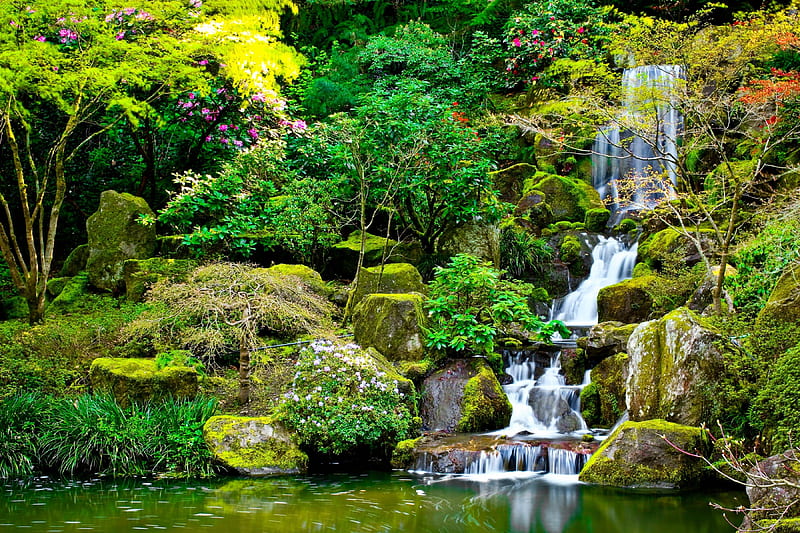 Garden pond, greenery, garden, waterfall, park, rocks, forest, bonito, trees, pond, cascades, summer, HD wallpaper