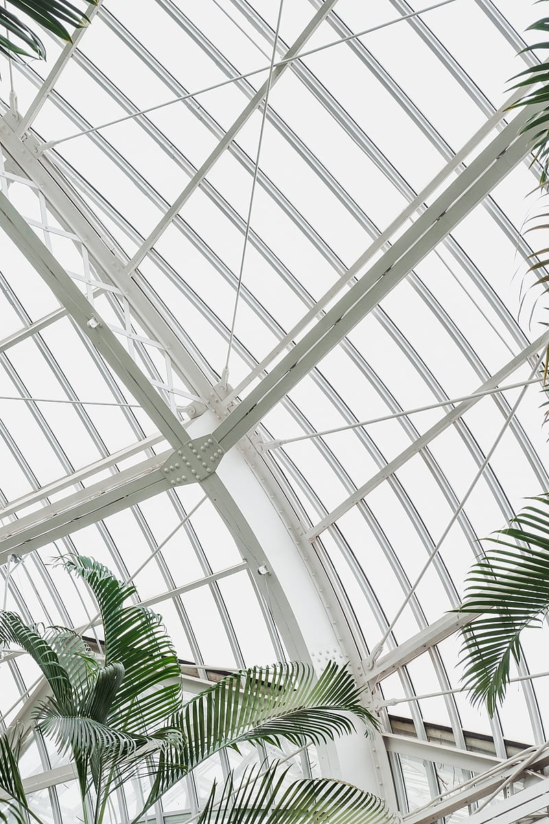 greenhouse, building, construction, plant, palm, HD phone wallpaper