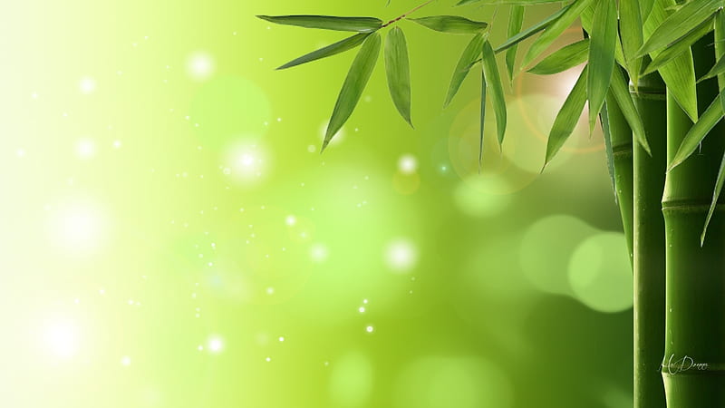 Bamboo Art, glow, bamboo, tree, leaves, bokeh, green, flare, Firefox Persona theme, light, HD wallpaper