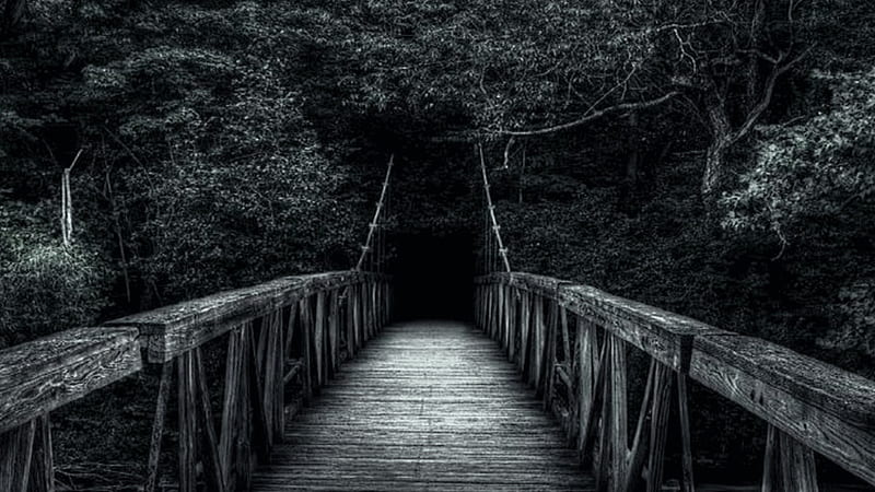 Wood Bridge Between Green Trees Forest Dark Background Dark, HD wallpaper |  Peakpx