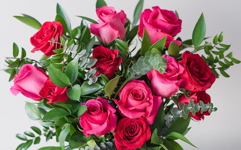 pink roses, festive bouquet, beautiful pink flowers, gift, March 8, roses, HD wallpaper