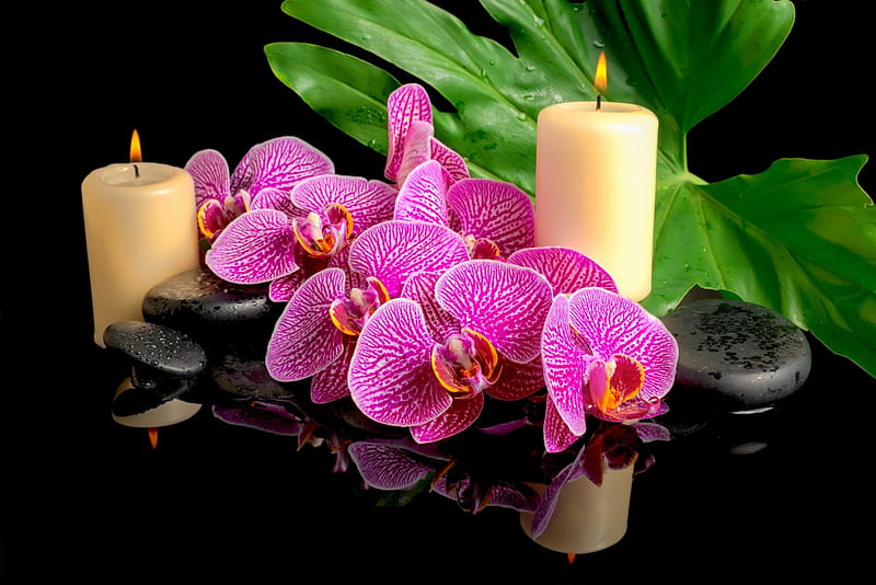 Spa concept, pretty, bonito, bamboo, still life, nice, flame, orchids, stones, flowers, reflection, pink, lovely, relax, candles, leaf, concept, spa, HD wallpaper