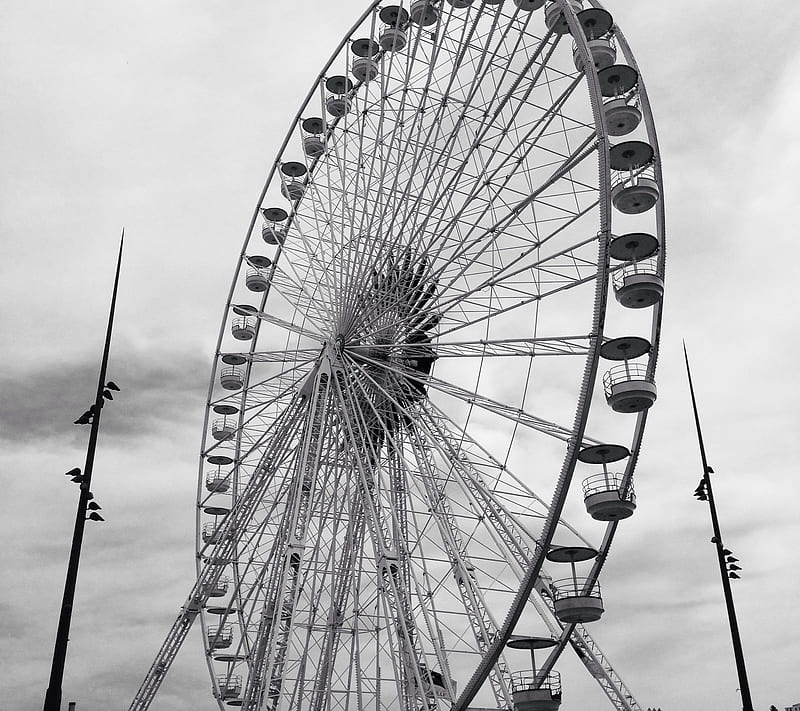 Wheel of France, black and white, eroupe, ferris wheel, love, HD ...