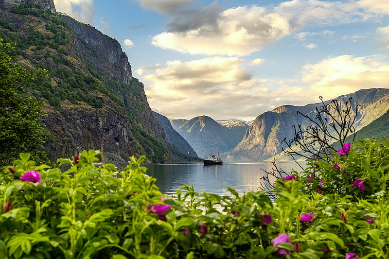 Flam Fjord-Norway, north, rocks, view, rocksw, travel, lake, mountain, ship, wildflowers, fjord, Norway, HD wallpaper