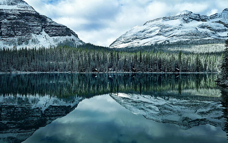 Lake O Hara, Mountain lake, forest, evening, mountains, Canadian Rockies, Hector, Canada, British Columbia, HD wallpaper
