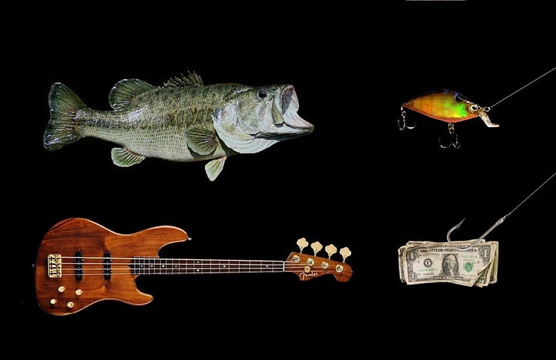 The Art of Bass Fishing, money, guitar, fish, lures, HD wallpaper
