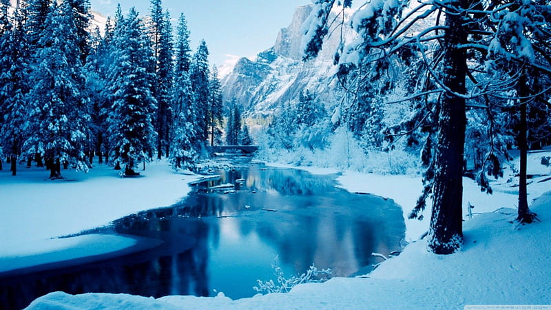 Blue winter landscape, forest, stream winter, water, pine, snow, mountains ice, nature, river, reflection, scene, landscape, blue, HD wallpaper