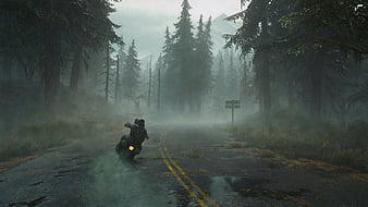 HD wallpaper: Days Gone digital wallpaper, video games, The Last