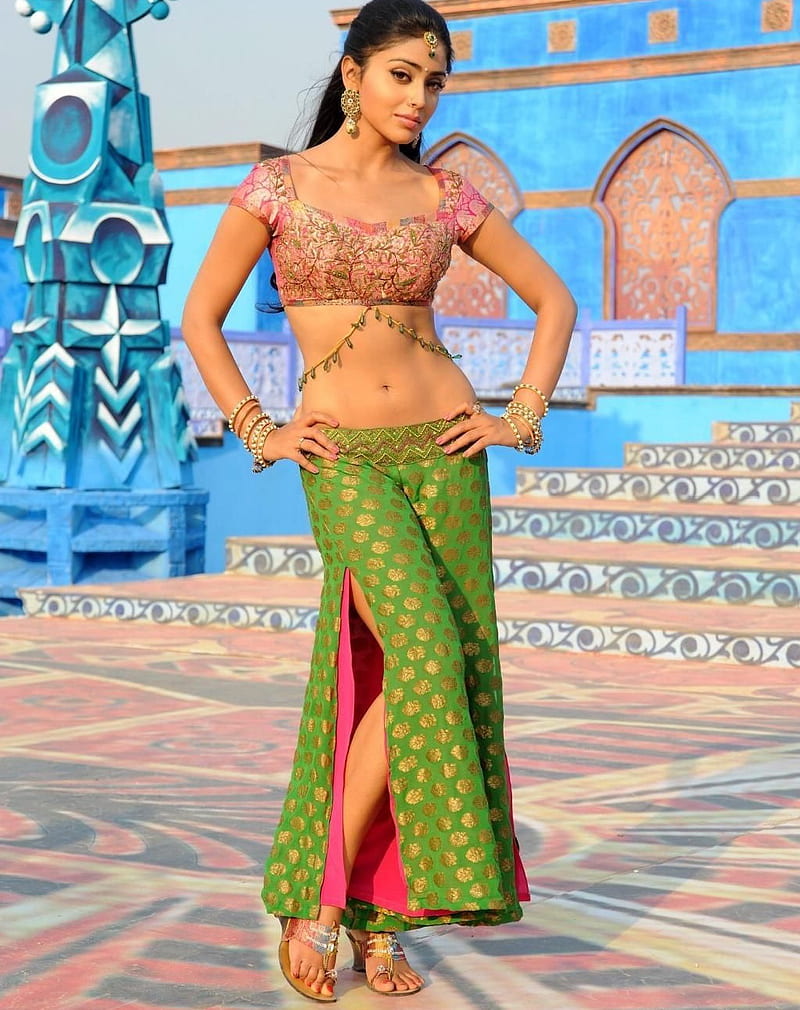 shriya saran, actress, navel, south indian, telugu, HD phone wallpaper