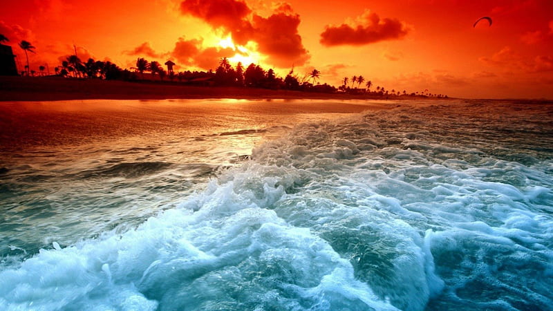 Orange sunset over the ocean, beach, orange, ocean, nature, sunset, HD ...