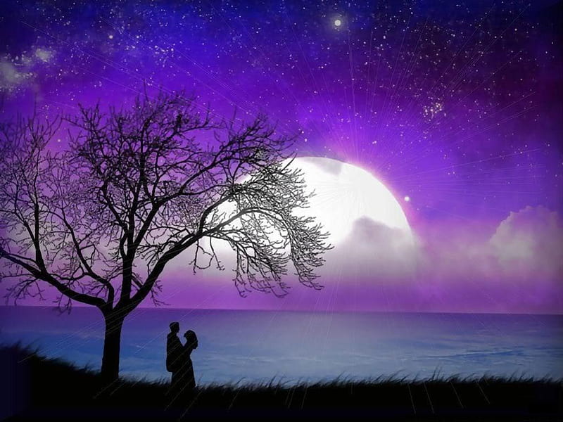 In love, sun, black, sunset, sky, clouds, sea, tree, moon, purple, dark, HD wallpaper