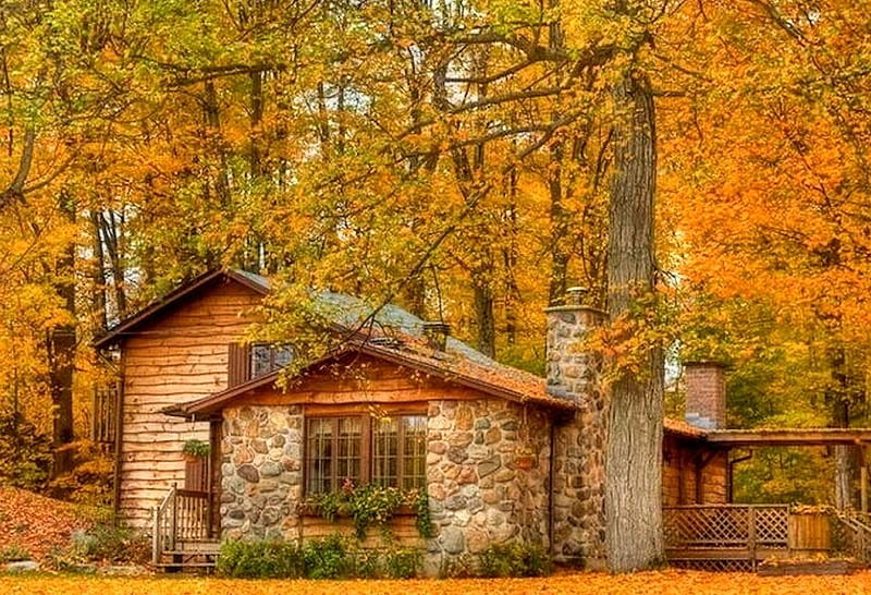 Cabin in the Woods, Woods, Autumn, Nature, Cabin, HD wallpaper