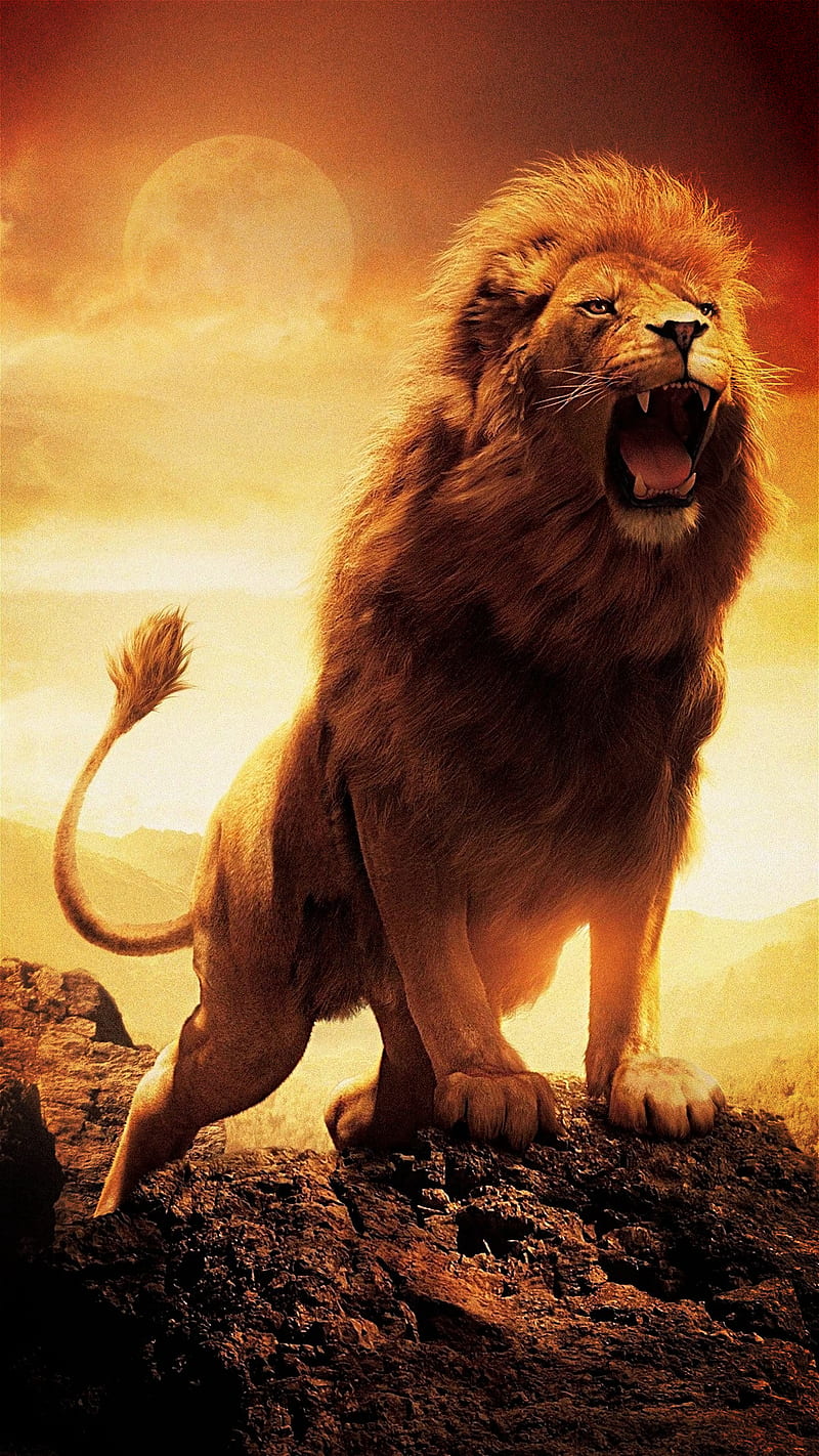 Lion, king, roaring, HD phone wallpaper