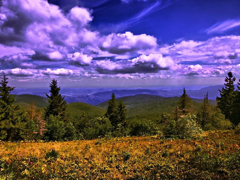 Carpathians Mountain, mountain, forest, carpathians, nature, trees, clouds, sky, grassland, HD wallpaper