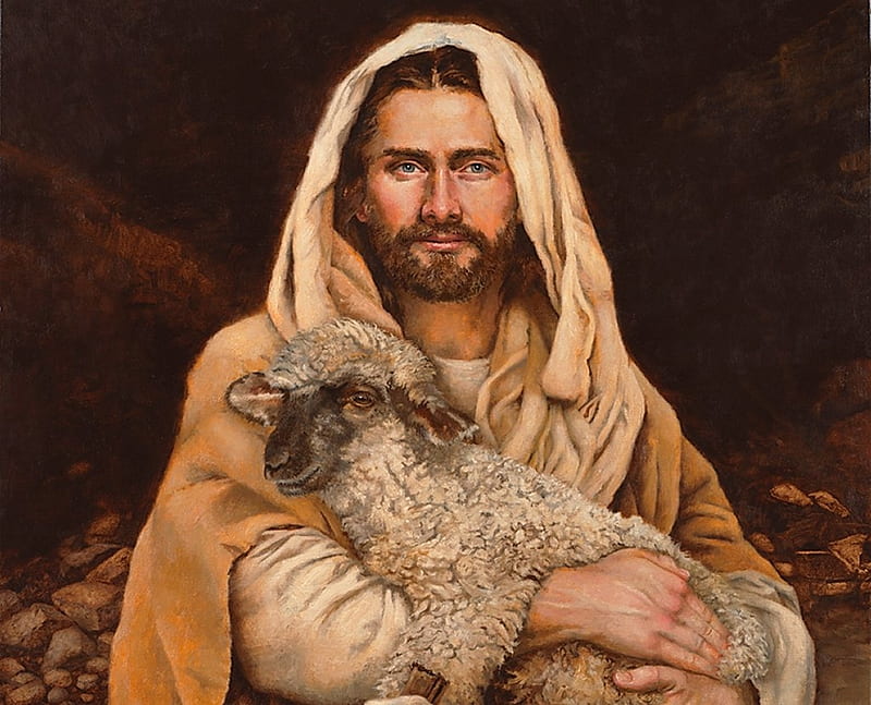 Sweet Good Shepherd, christ, sheep, jesus, religion, shepherd, HD wallpaper