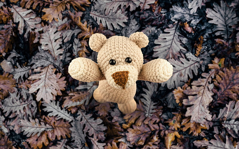 Man Made, Stuffed Animal, Teddy Bear, HD wallpaper