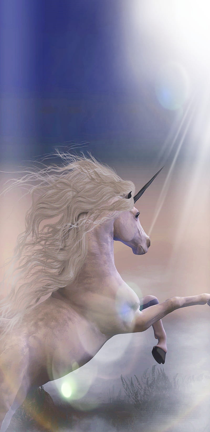 Unicorn Of Light, bonito, girly, horse, magical, pretty, unicorns, white, HD phone wallpaper