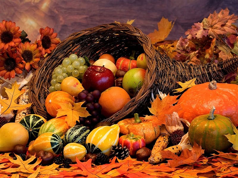 Pumpkin, Still Life, Flower, Leaf, Fall, Fruit, Basket, , Vegetable, Gourd, HD wallpaper