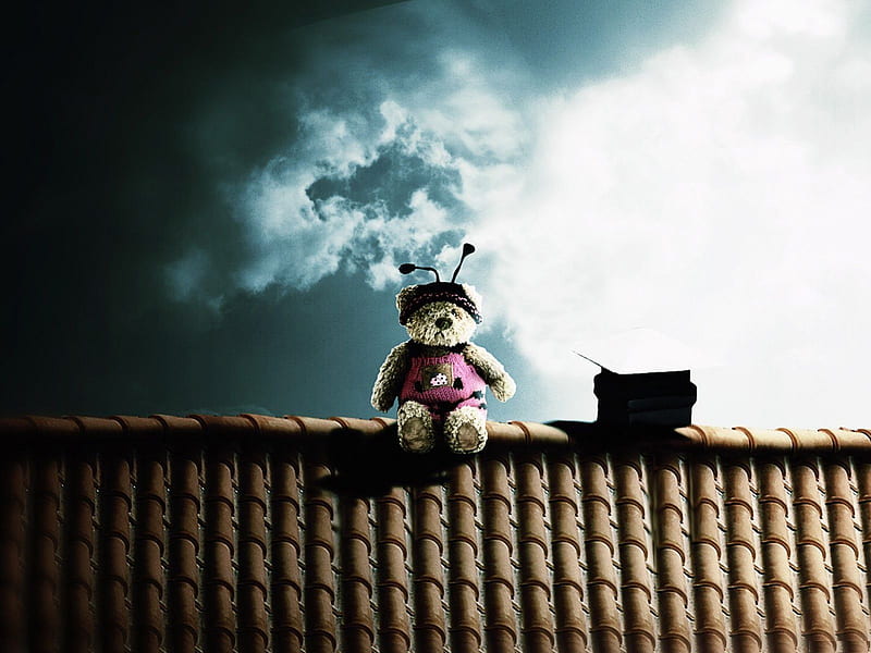 Poo on the Roof, teddybear, sky, clouds, radio, HD wallpaper