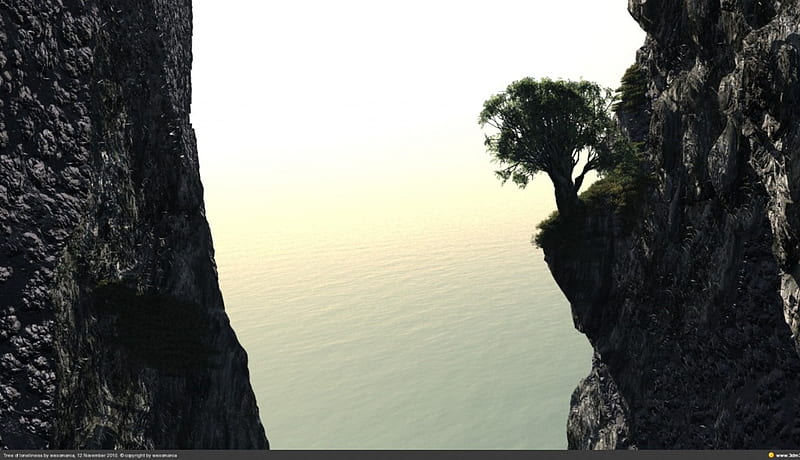 tree on a mountain, close, grows, to, abyss, HD wallpaper