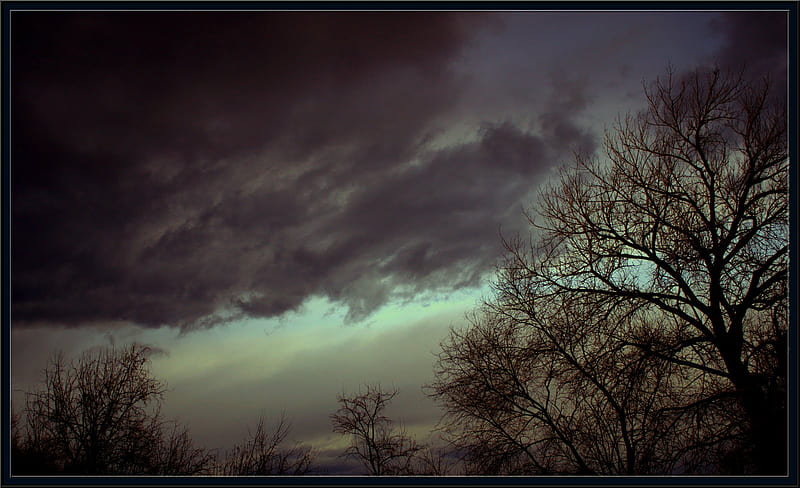 Dreamy Misfortunes, tree, dark, dusk, clouds, storm, night, winter, HD wallpaper