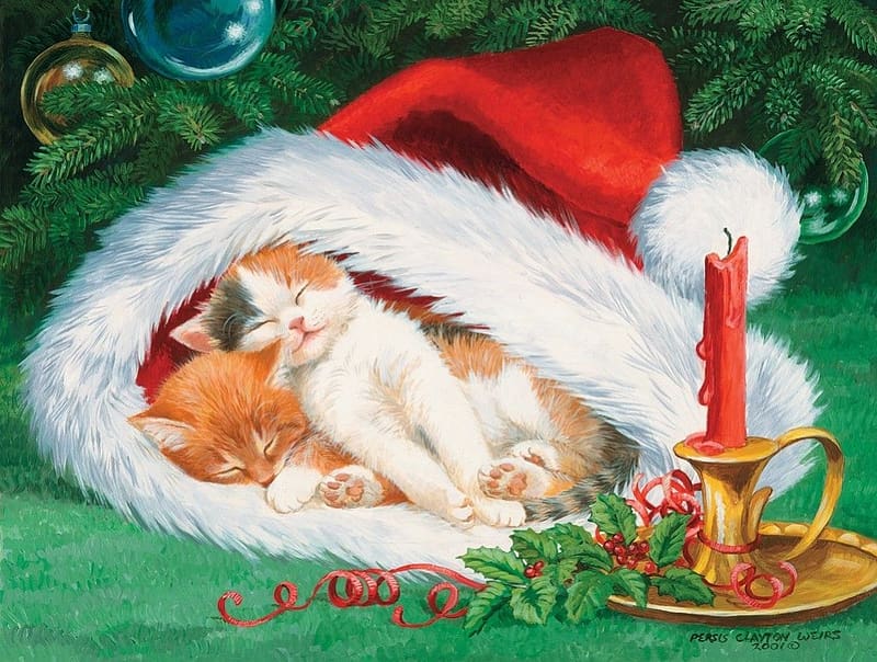 :), kitten, craciun, art, cat, painting, pisici, pictura, red, green, santa, hat, persis clayton weirs, HD wallpaper