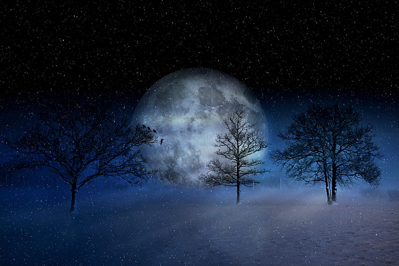 winter, blue, cosmos, nature, night, peace, santa, santa claus, silence, tree, HD wallpaper