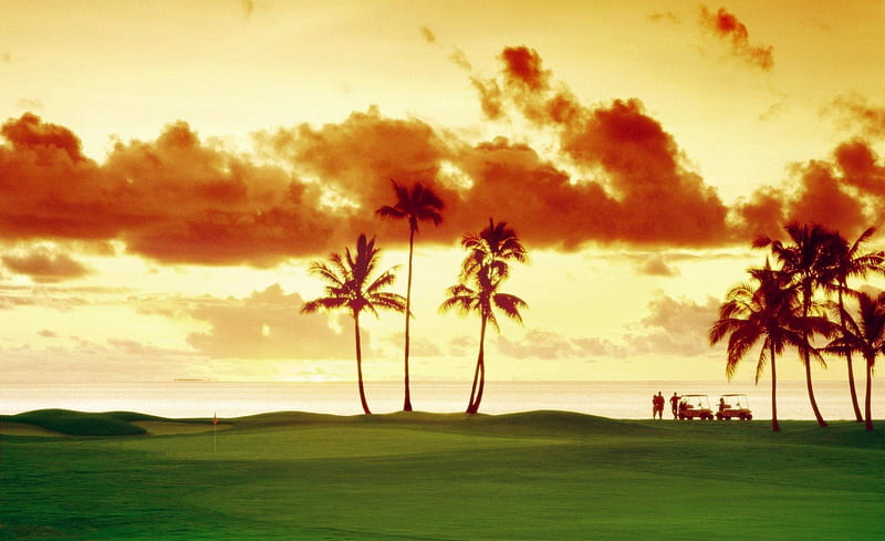 Golf Sunset Fiji, polynesia, orange, dusk, sunset, sea, palm trees, beach, evening, south pacific, exotic, islands, view, ocean, course, sky, skies, paradise, golf, serene, island, tropical, fiji, HD wallpaper