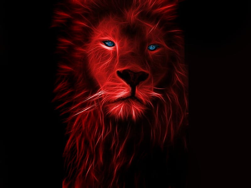 HD color lion wallpapers | Peakpx