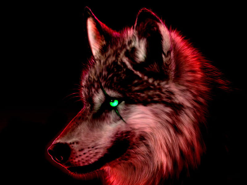 Scarred Rage, red, rage, wolf, greeneyes, HD wallpaper