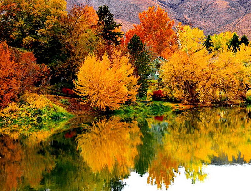 Autumn lakeshore, colorful, autumn, house, riverbank, shore, cottage ...